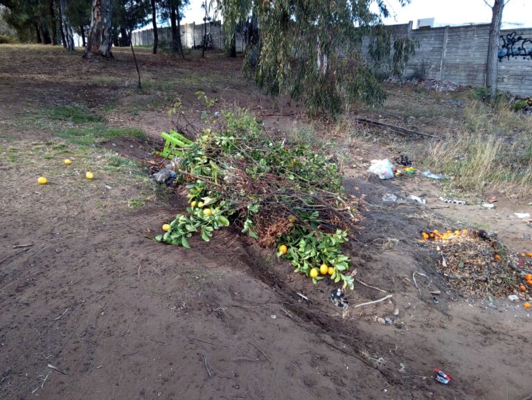 Infracción basura