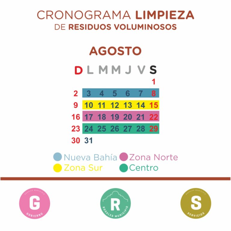 cronograma voluminosos agosto