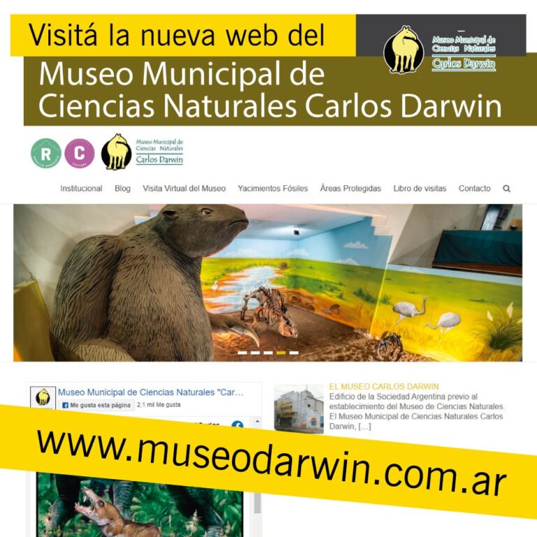 Web Museo Darwin