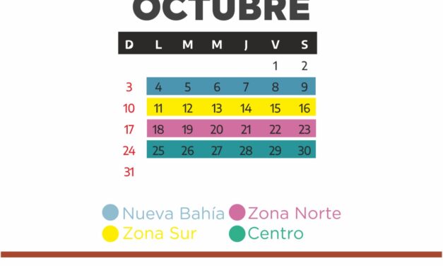 El lunes 4 inicia el cronograma de recolección de voluminosos del mes de octubre