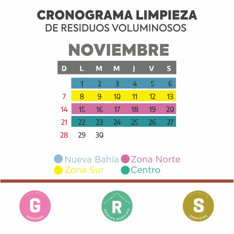 Cronograma voluminosos noviembre