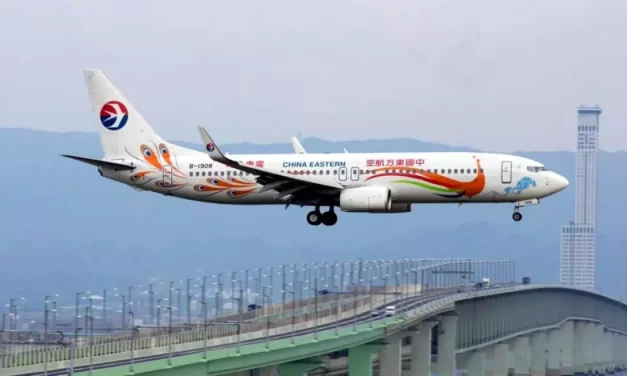Conmoción: un avión con 133 personas a bordo se estrelló en el sur de China