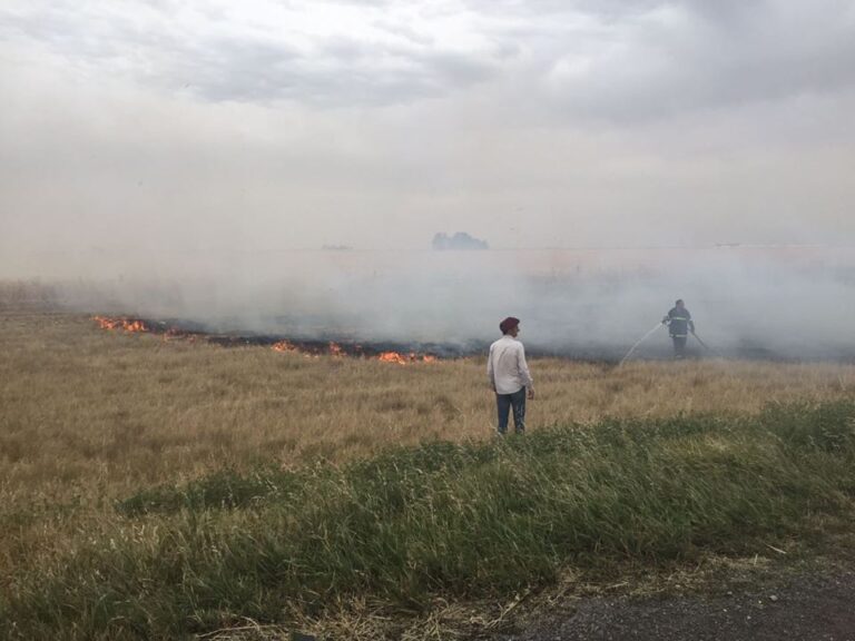 incendios forestales