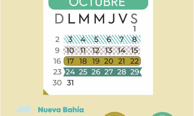 El lunes 3 inicia el cronograma de recolección de voluminosos del mes de octubre