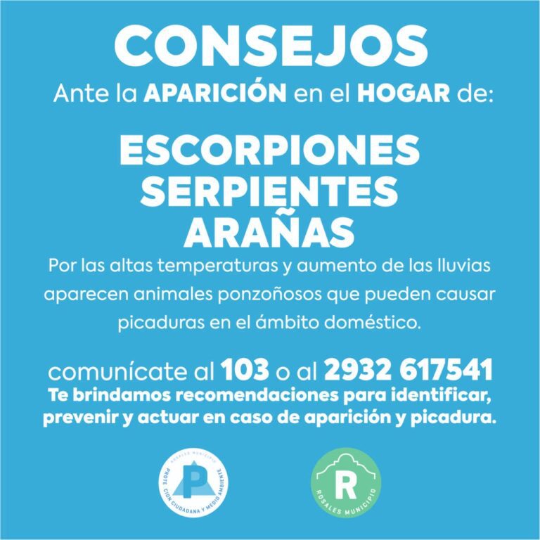 Consejos y consultas sobre insectos