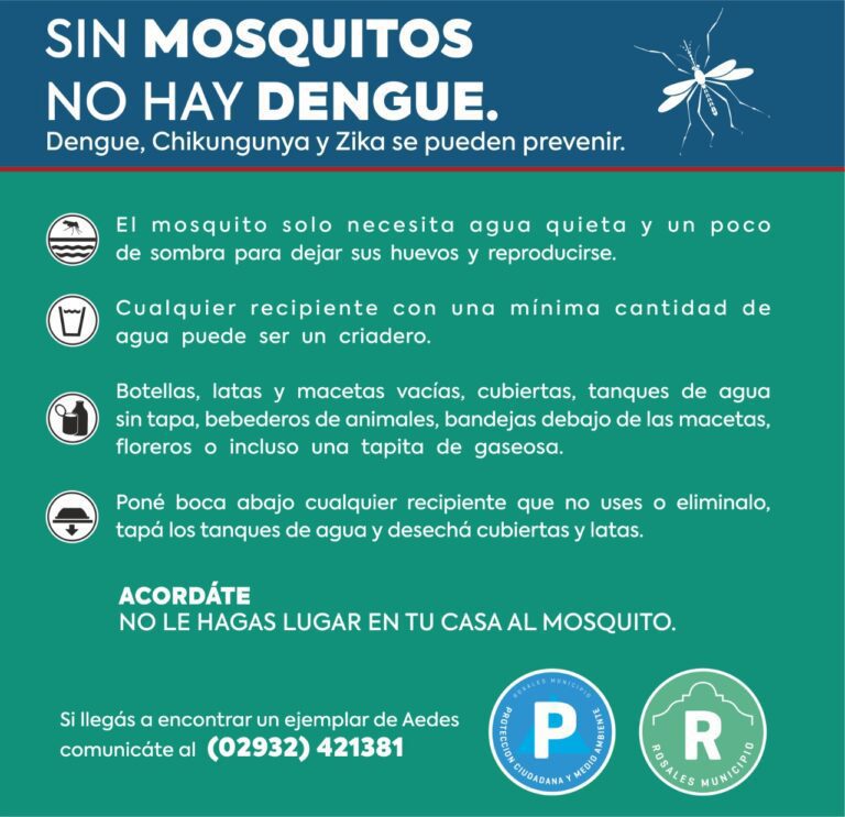 Prevención Aedes