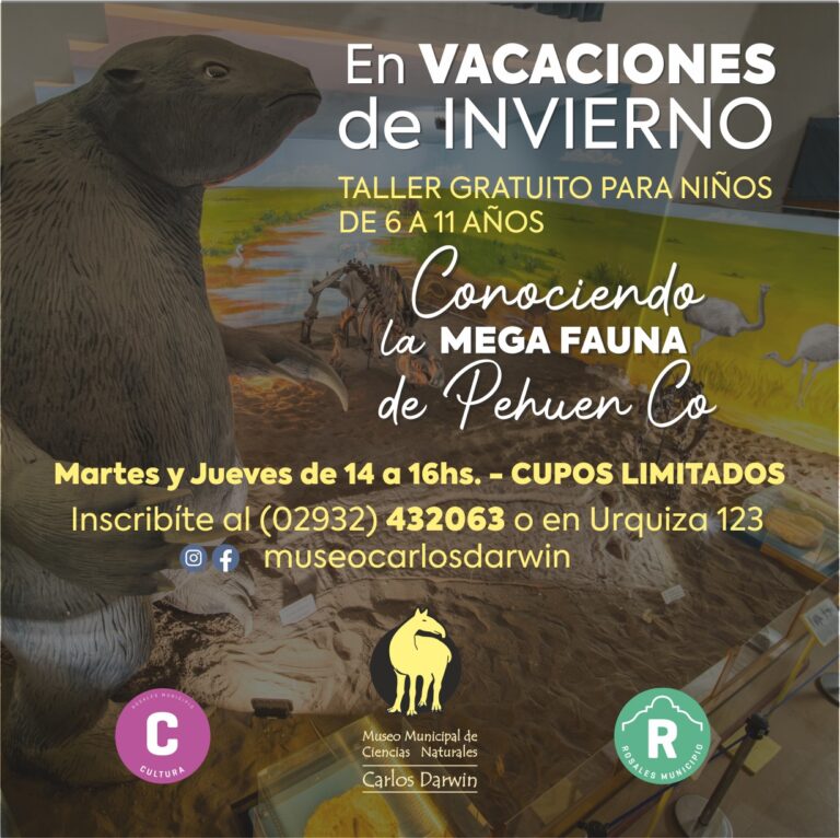 Talleres vacaciones de invierno M Darwin