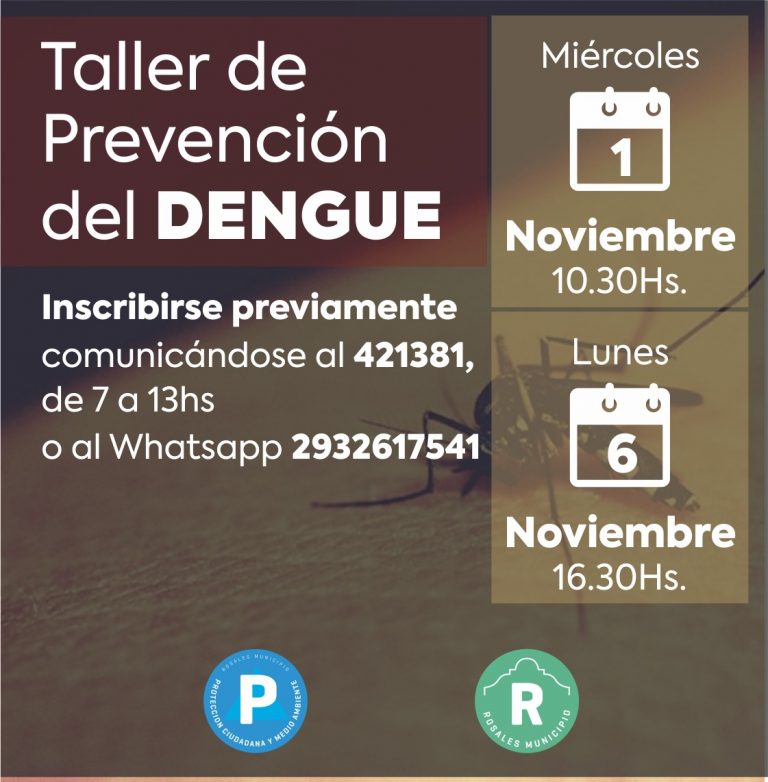 Taller prevención de dengue