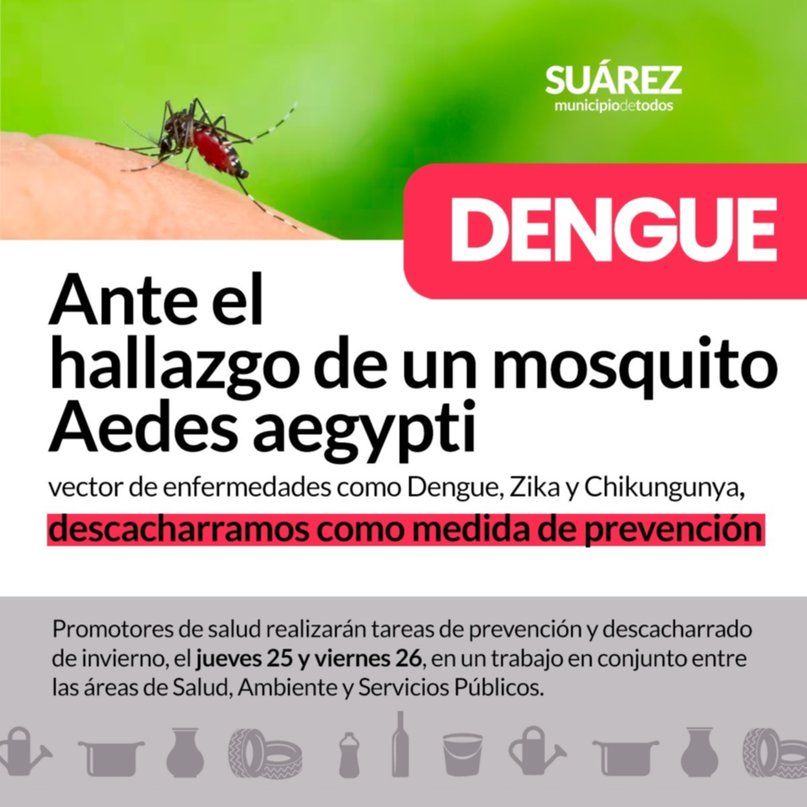 240425 aedes en suarez