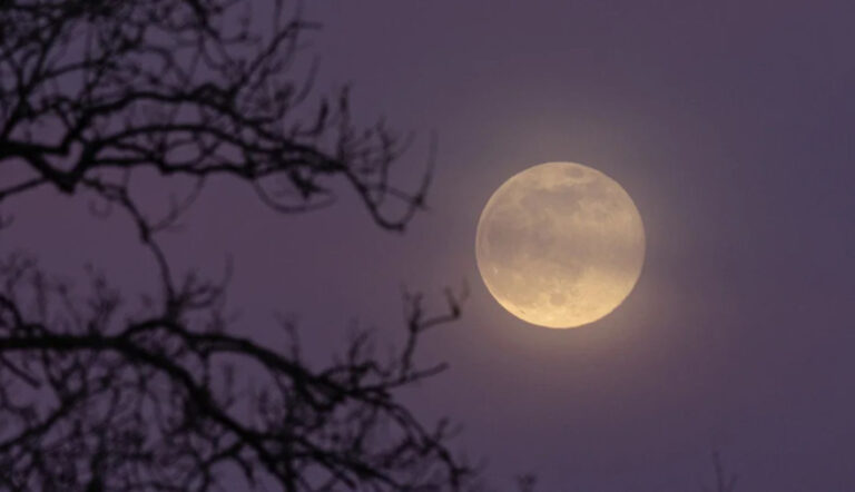 20250506141722_moon-20250413055804501