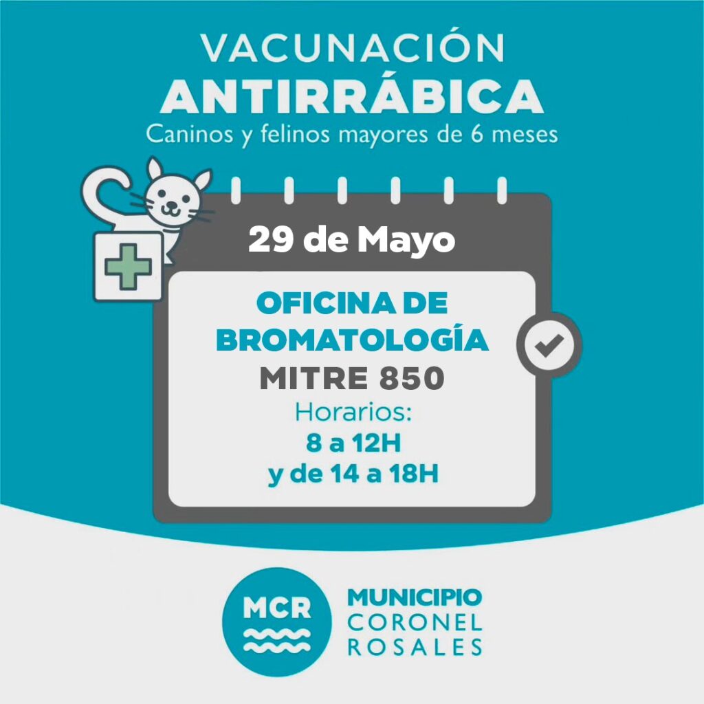 WhatsApp Image 2025-05-23 at 9.15.06 AM