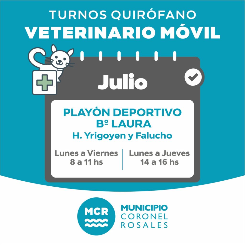 WhatsApp Image 2025-06-30 at 11.27.02 AM