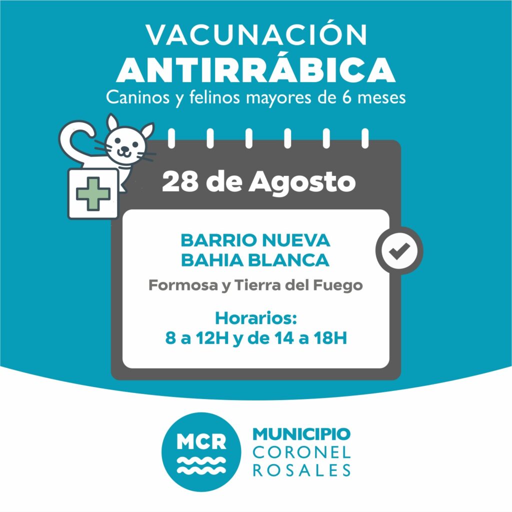 WhatsApp Image 2025-08-26 at 11.47.37 AM