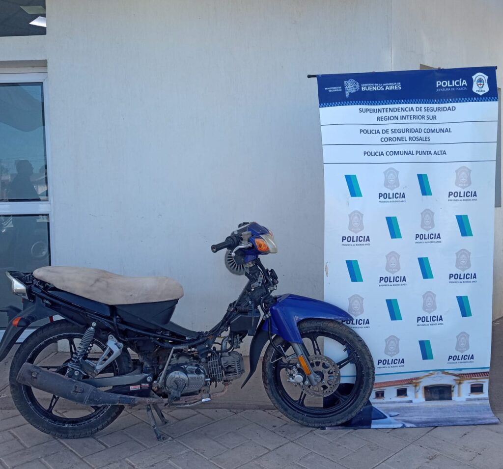 WhatsApp Image 2025-10-08 at 10.42.33 AM