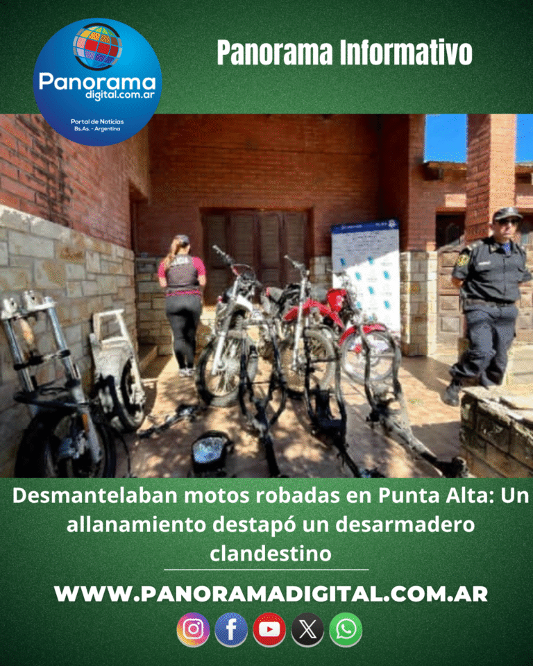 Grün Weiß Modern Minimalistisch Glühbirne Ideen Instagram Post_20251112_140534_0000