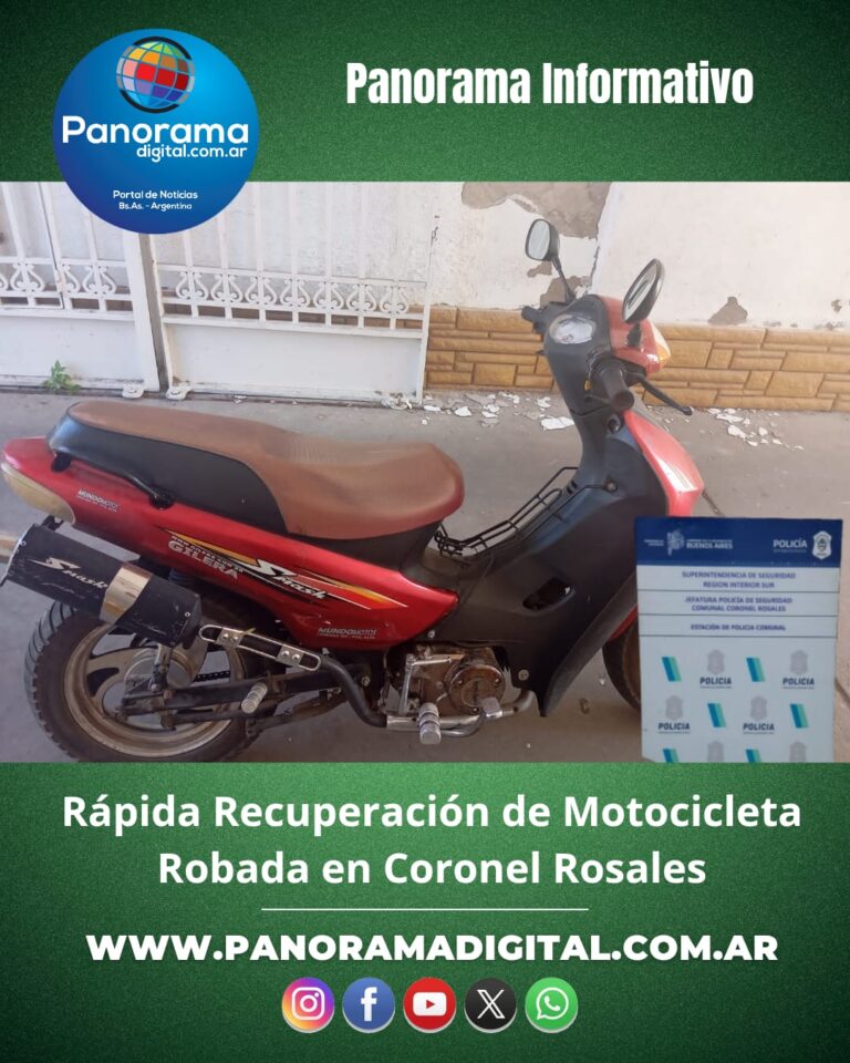 WhatsApp Image 2025-11-11 at 12.20.14 PM