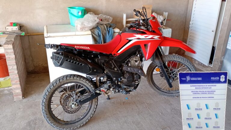 WhatsApp Image 2025-12-26 at 1.15.27 PM