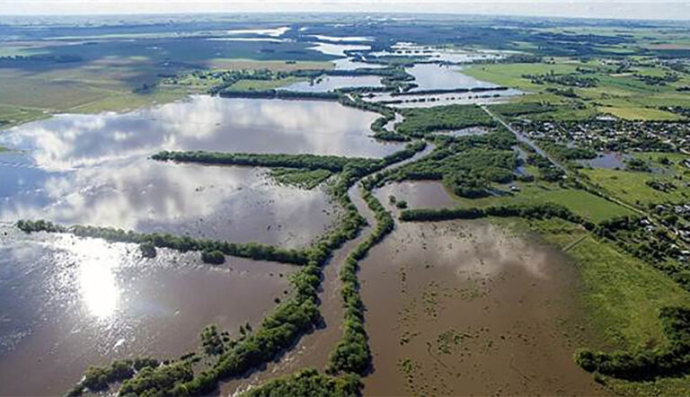 20260106114415_inundaciones-campo