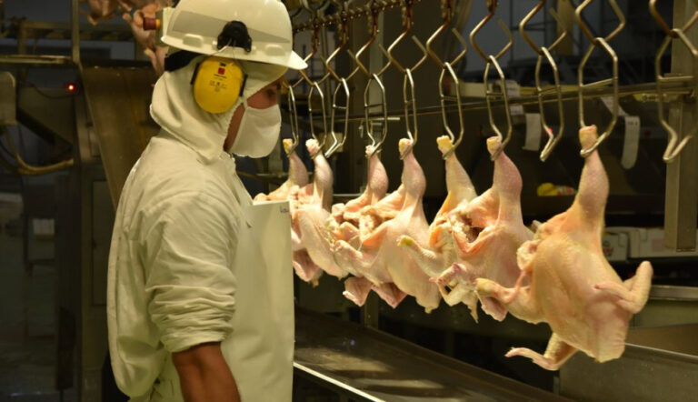 20260106142548_faena-01