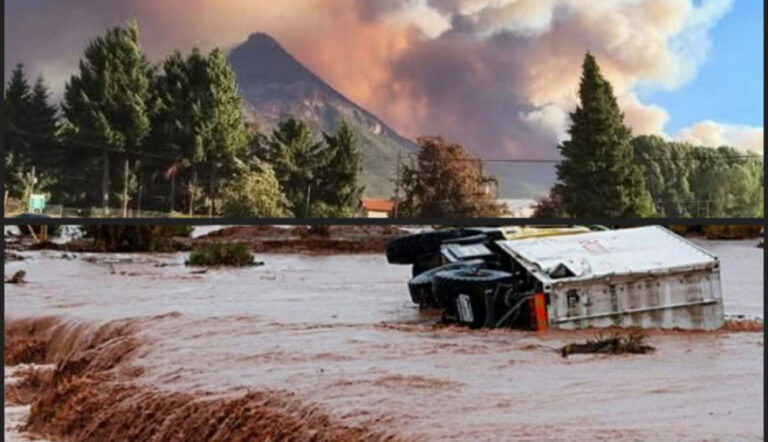 20260108104719_whatsapp-image-2026-01-08-at-10-46-43