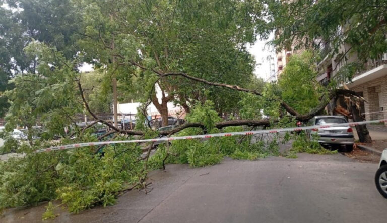 20260118094607_whatsapp-image-2026-01-18-at-09-44-36