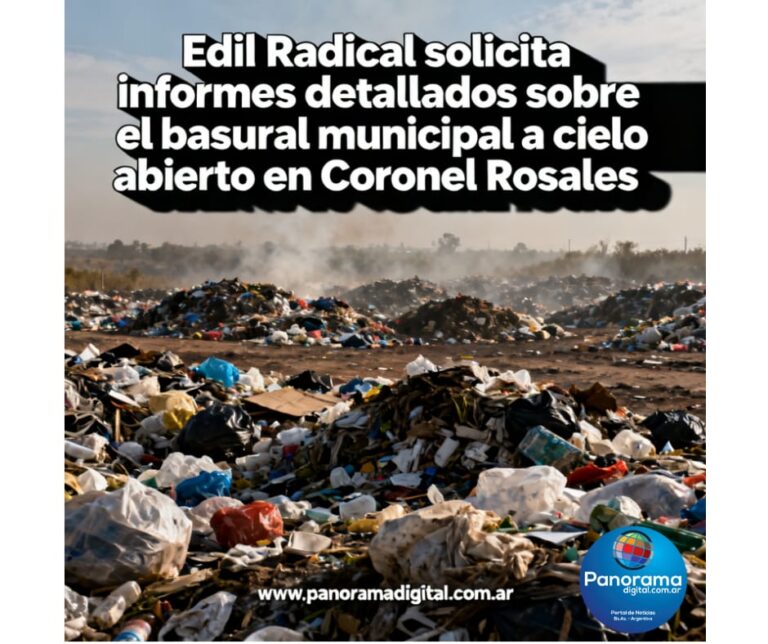 WhatsApp Image 2026-01-12 at 12.14.10 PM