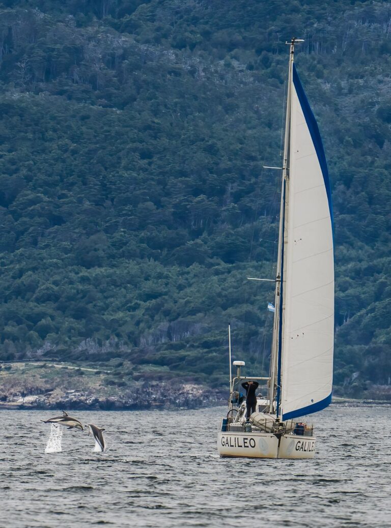 WhatsApp Image 2026-01-16 at 6.42.55 PM