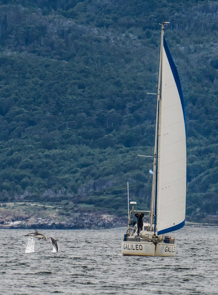 WhatsApp Image 2026-01-16 at 6.42.55 PM