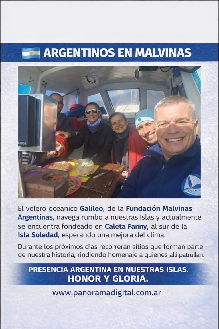 WhatsApp Image 2026-02-15 at 11.05.59